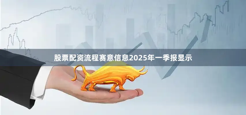 股票配资流程赛意信息2025年一季报显示