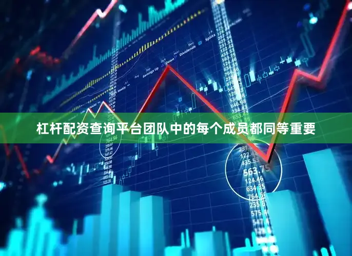 杠杆配资查询平台团队中的每个成员都同等重要